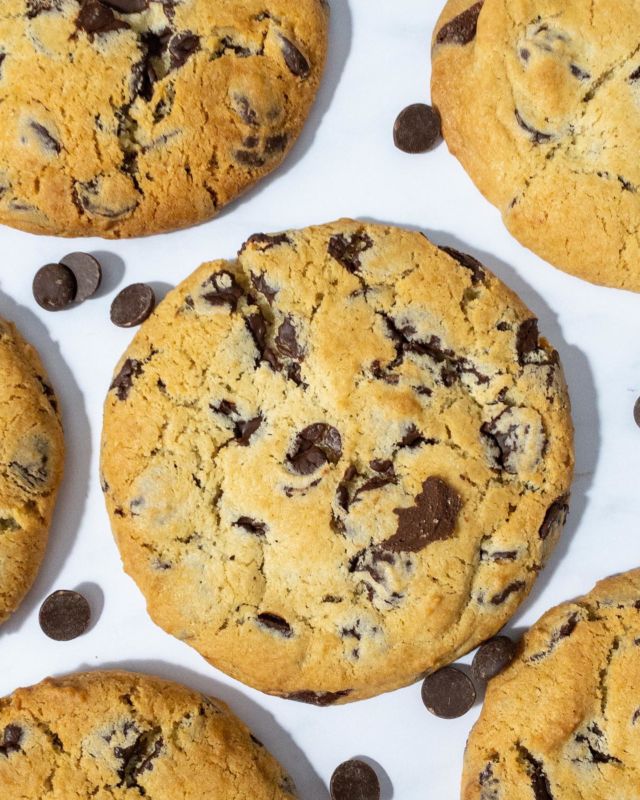 These mega chocolate chip cookies are by far the best cookies I’ve ever eaten! The fact that they are 100% vegan just makes it that much better!
Who wants the recipe?! 🍪 🌱 
.
.
.
.
.
.
#cookie #veganfood #vegancookies #vegancooking #cookies #vegan #baking #veganbaking #chocolate #food #foodporn #plantbased #foodie #veganfoodporn #veganfoodblogger #tasty #recipe